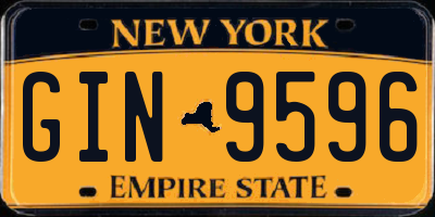 NY license plate GIN9596