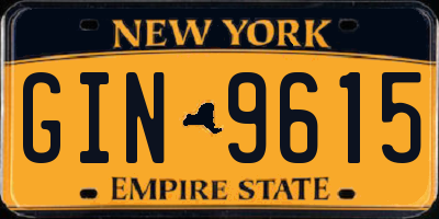 NY license plate GIN9615