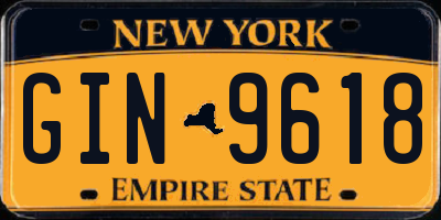 NY license plate GIN9618