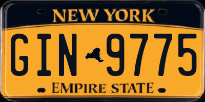 NY license plate GIN9775