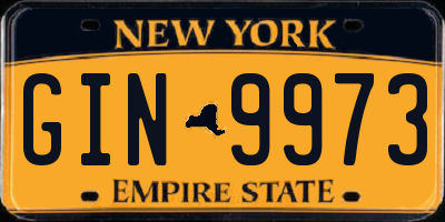 NY license plate GIN9973