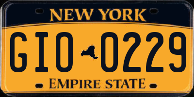 NY license plate GIO0229