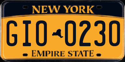 NY license plate GIO0230