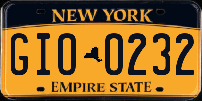 NY license plate GIO0232
