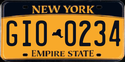 NY license plate GIO0234