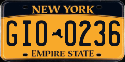 NY license plate GIO0236
