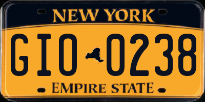 NY license plate GIO0238