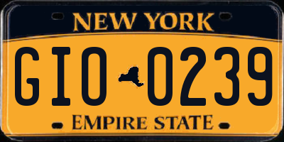 NY license plate GIO0239