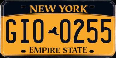 NY license plate GIO0255