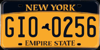 NY license plate GIO0256