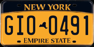 NY license plate GIO0491