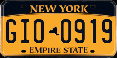 NY license plate GIO0919