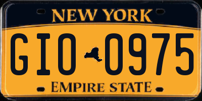 NY license plate GIO0975