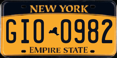 NY license plate GIO0982