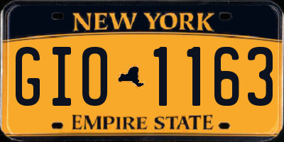 NY license plate GIO1163