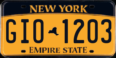 NY license plate GIO1203