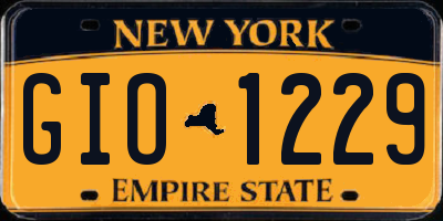 NY license plate GIO1229