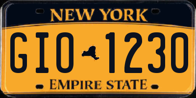 NY license plate GIO1230