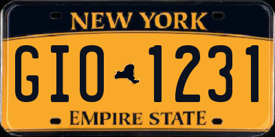 NY license plate GIO1231