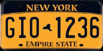 NY license plate GIO1236