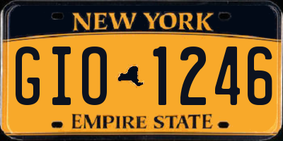 NY license plate GIO1246