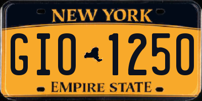 NY license plate GIO1250