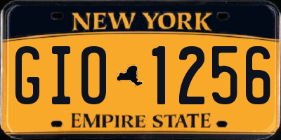 NY license plate GIO1256