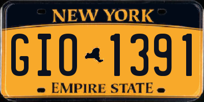 NY license plate GIO1391