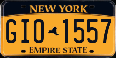 NY license plate GIO1557