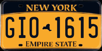 NY license plate GIO1615