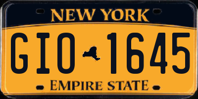 NY license plate GIO1645