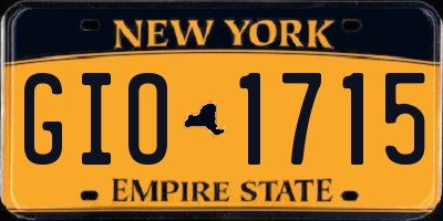 NY license plate GIO1715