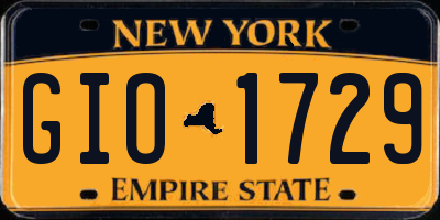 NY license plate GIO1729