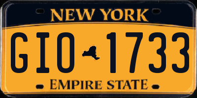NY license plate GIO1733