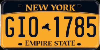 NY license plate GIO1785
