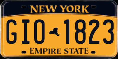 NY license plate GIO1823