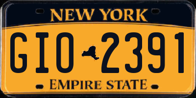 NY license plate GIO2391