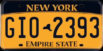 NY license plate GIO2393