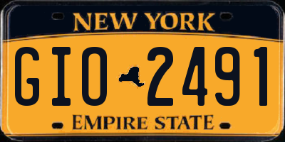 NY license plate GIO2491