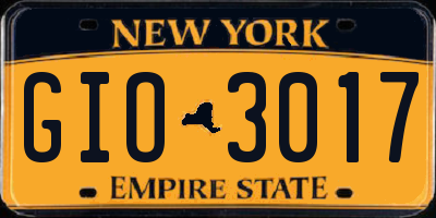 NY license plate GIO3017