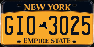 NY license plate GIO3025