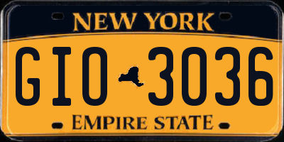 NY license plate GIO3036