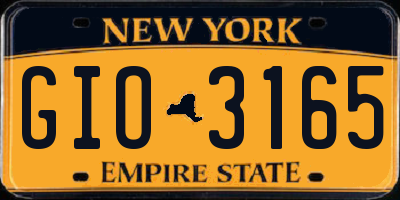 NY license plate GIO3165