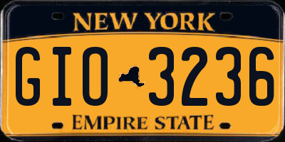 NY license plate GIO3236