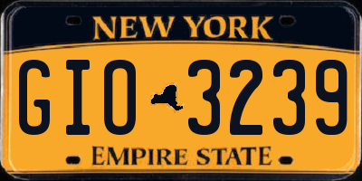 NY license plate GIO3239