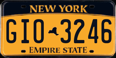 NY license plate GIO3246