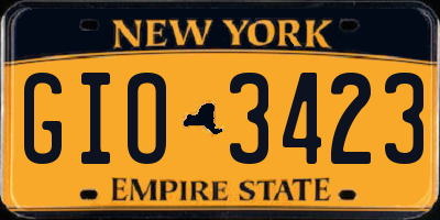 NY license plate GIO3423