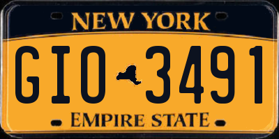 NY license plate GIO3491