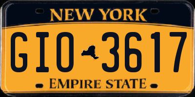 NY license plate GIO3617