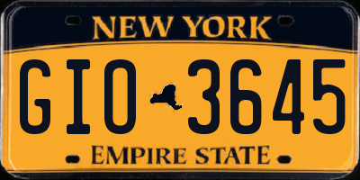 NY license plate GIO3645